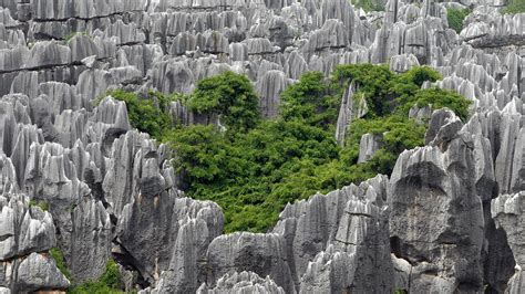 A Floresta de Pedra de Sanming: Uma Maravilha Geológica Escondida na China!