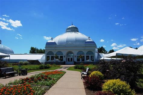 Como Explorar o Jardim Botânico de Buffalo e Desfrutar da Beleza Natural?