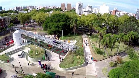 Parque da Amizade! Uma Joia Verde em Meio à Cidade e um Refúgio para Pombos Espertos